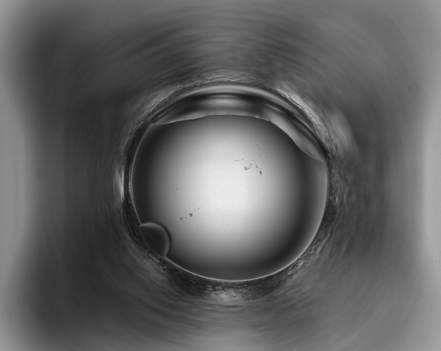X0000096190062200801181329