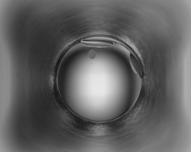 X0000096190063200801181329
