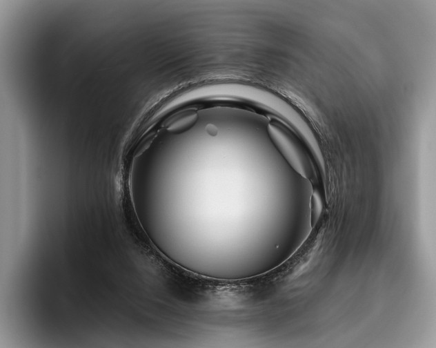 X0000096190064200801181329