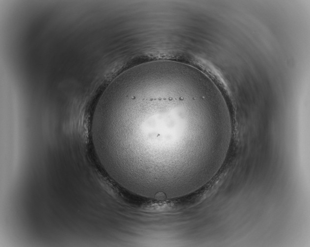X0000096190065200801181329