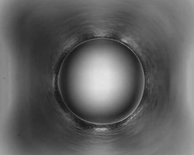 X0000096190066200801181329
