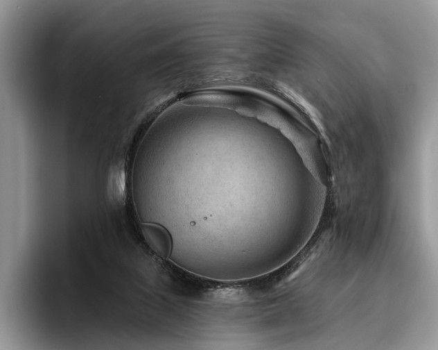 X0000096190067200801181329