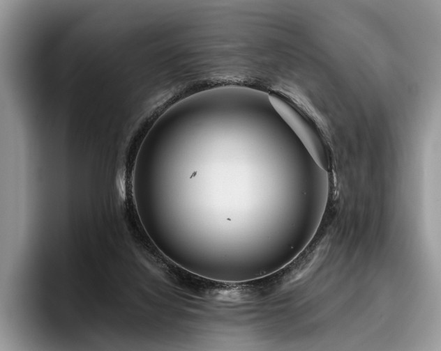 X0000096190068200801181329