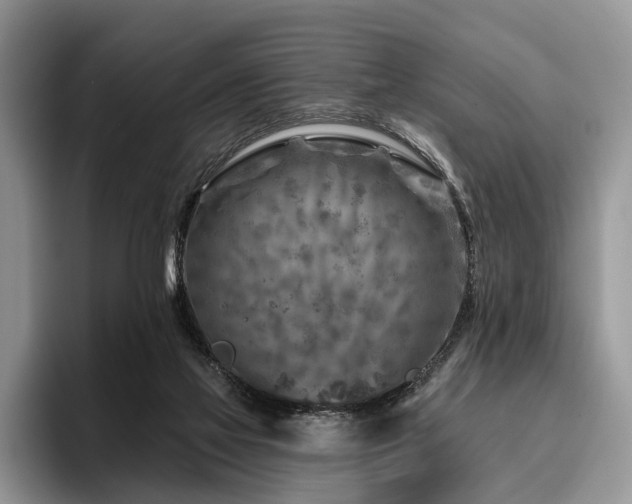 X0000096190069200801181329