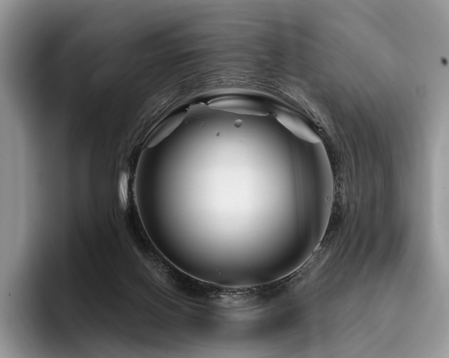 X0000096190070200801181329
