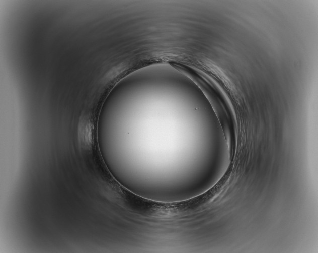 X0000096190071200801181329