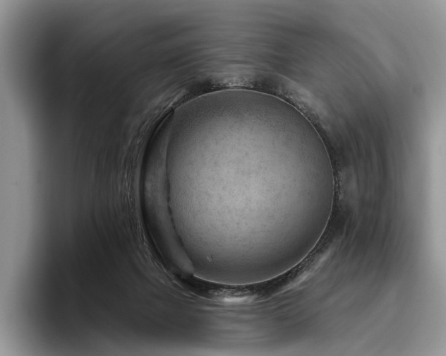 X0000096190073200801181329
