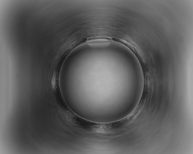 X0000096190074200801181329