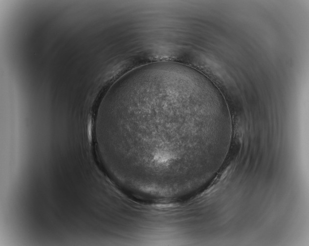 X0000096190076200801181329