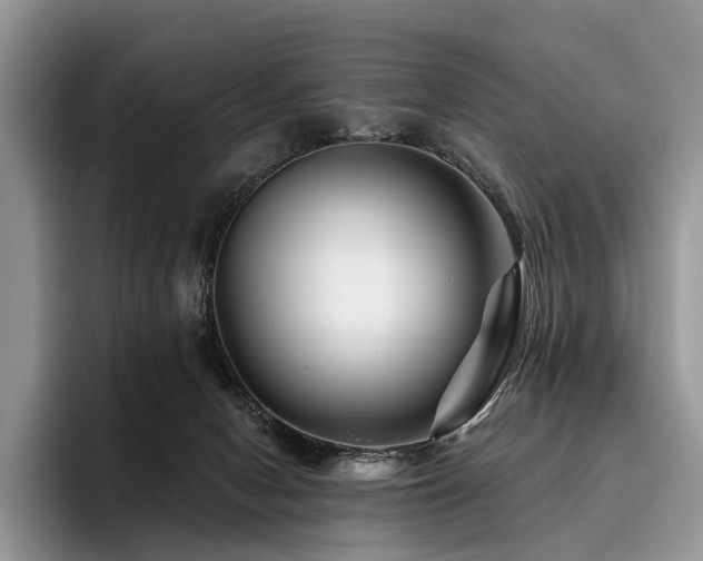 X0000096190078200801181329