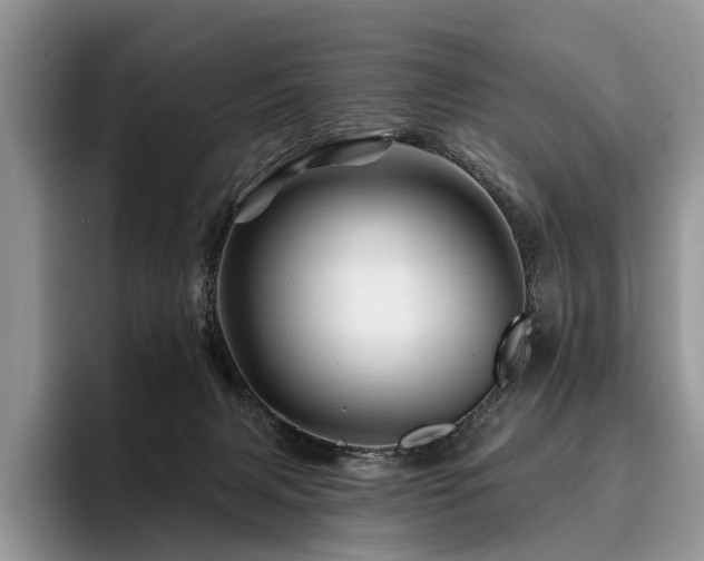 X0000096190079200801181329