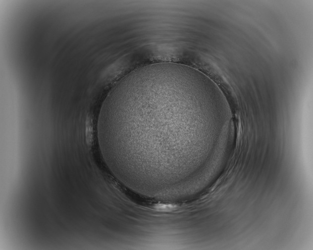 X0000096190080200801181329