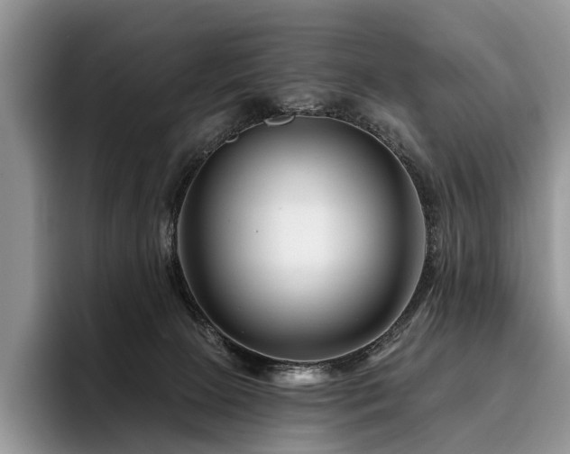 X0000096190081200801181329