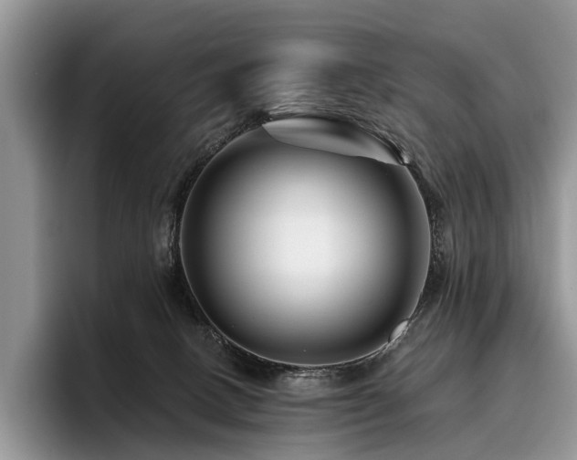 X0000096190082200801181329