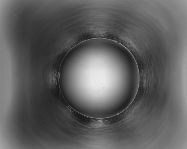 X0000096190083200801181329
