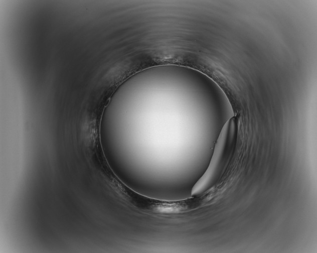 X0000096190085200801181329
