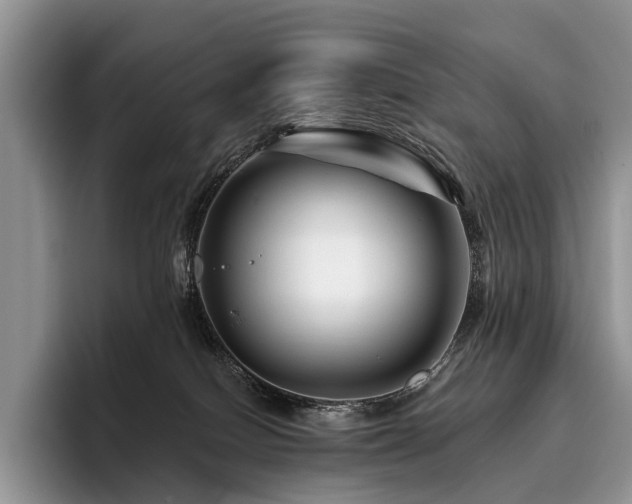 X0000096190086200801181329