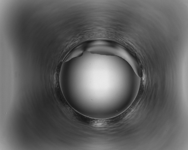 X0000096190088200801181329