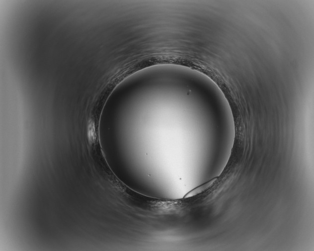 X0000096190089200801181329