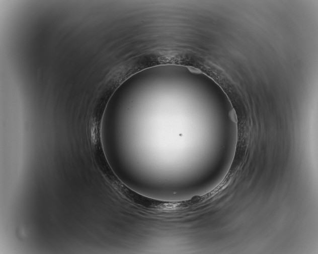 X0000096190090200801181329