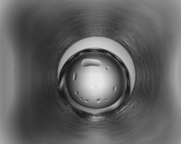 X0000096190092200801181329