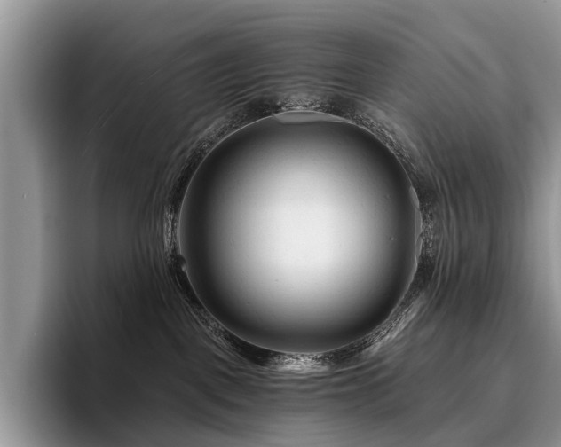 X0000096190093200801181329