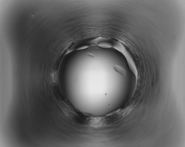 X0000096190096200801181329
