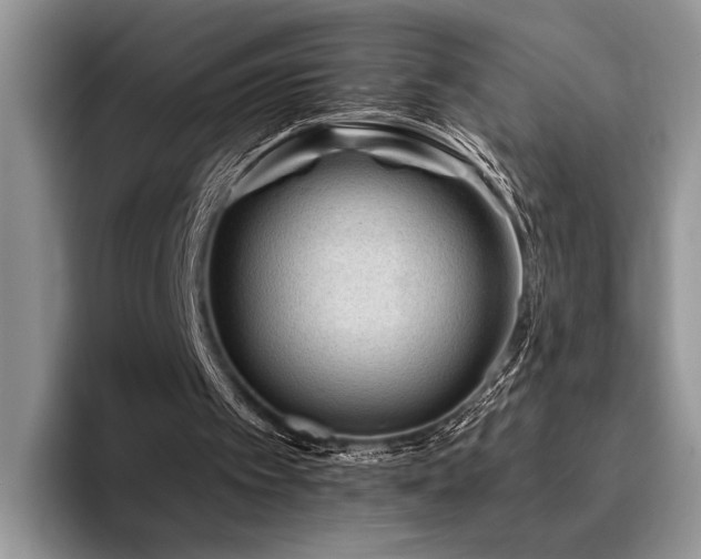 X0000096190097200801181329