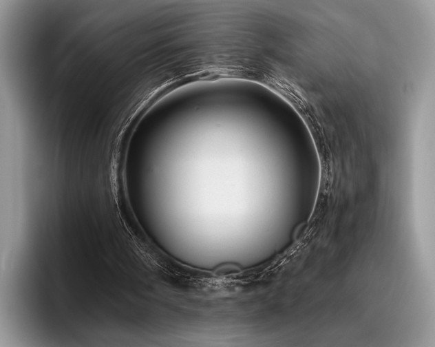 X0000096190098200801181329