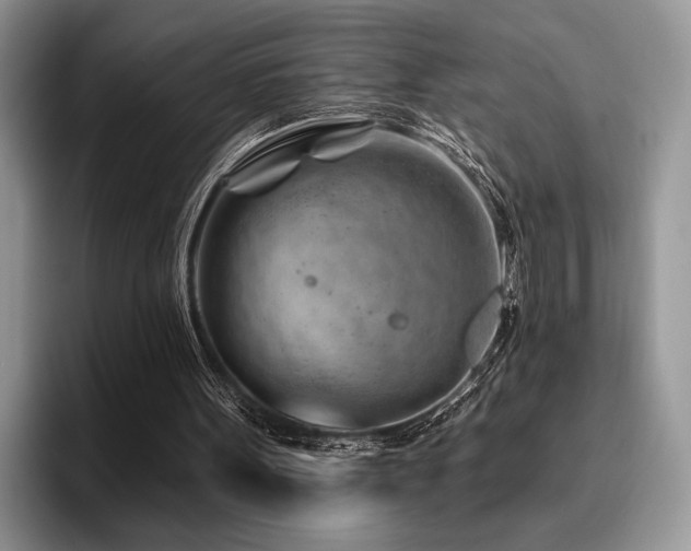 X0000096190099200801181329