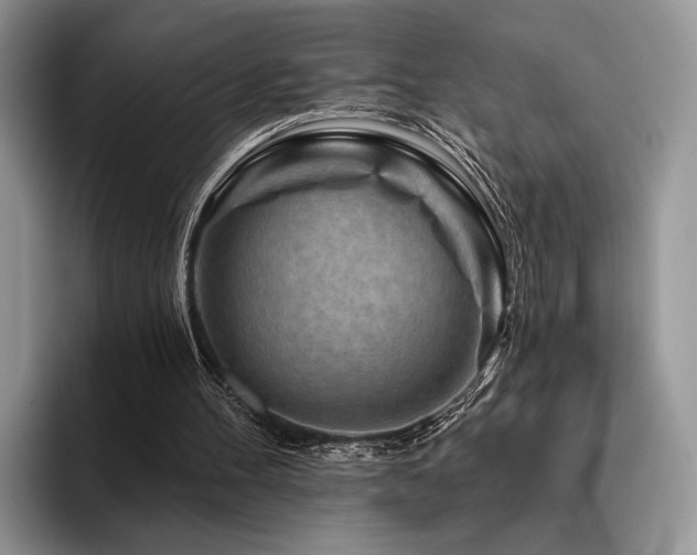 X0000096190100200801181329