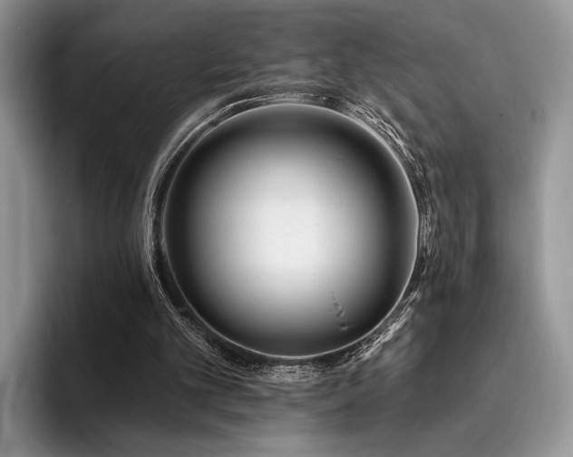 X0000096190101200801181329