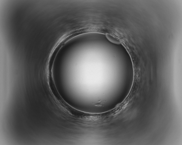 X0000096190102200801181329