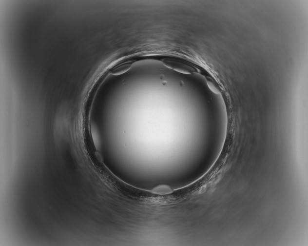 X0000096190103200801181329