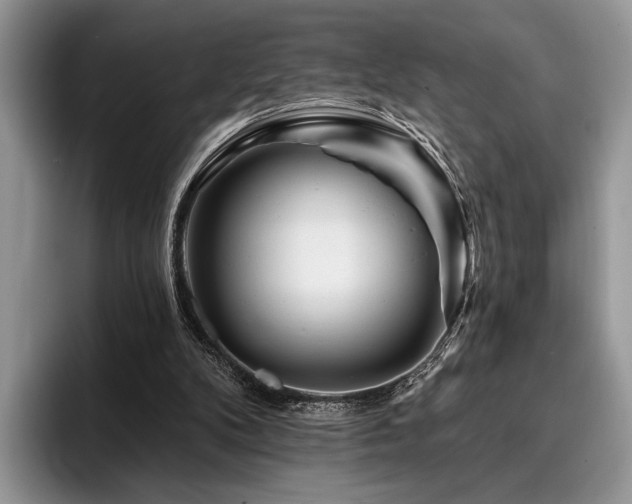 X0000096190104200801181329