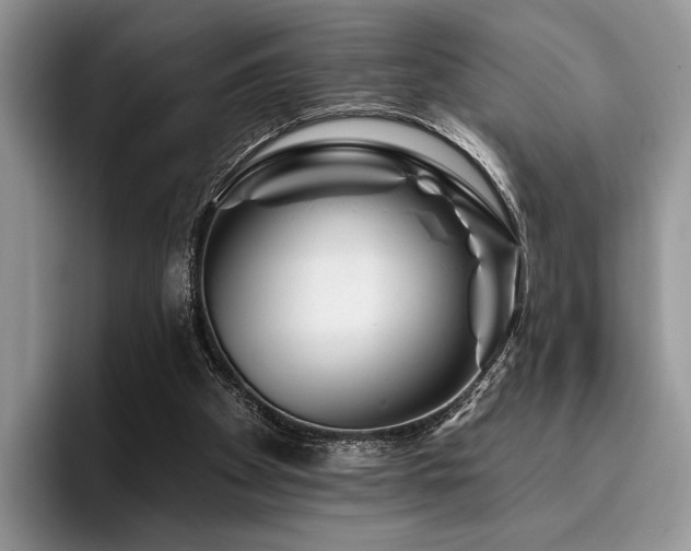 X0000096190105200801181329