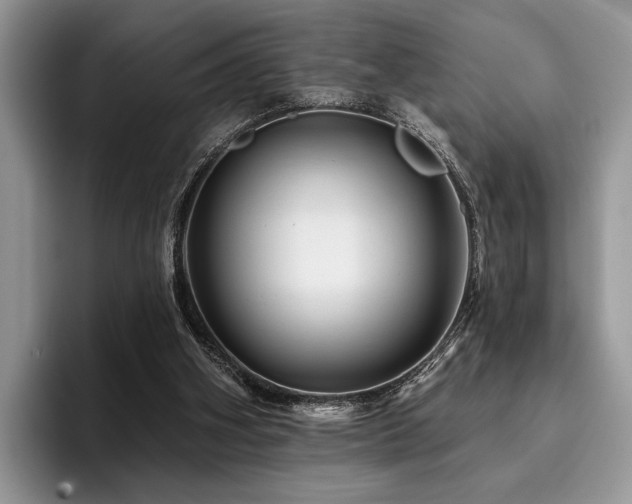 X0000096190106200801181329