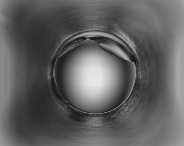 X0000096190107200801181329