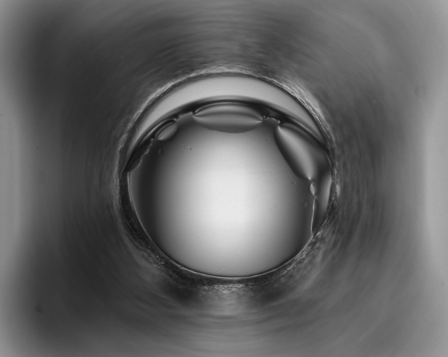 X0000096190108200801181329
