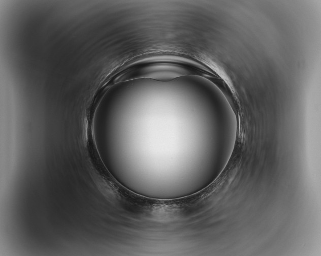 X0000096190109200801181329
