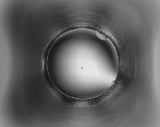X0000096190110200801181329