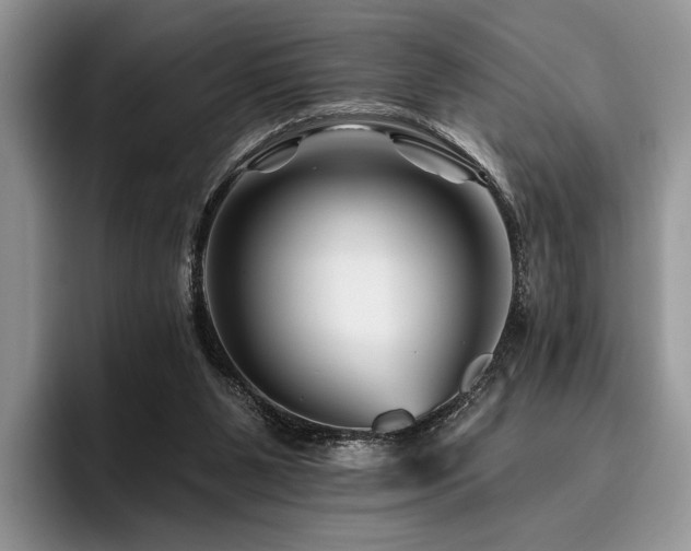 X0000096190111200801181329
