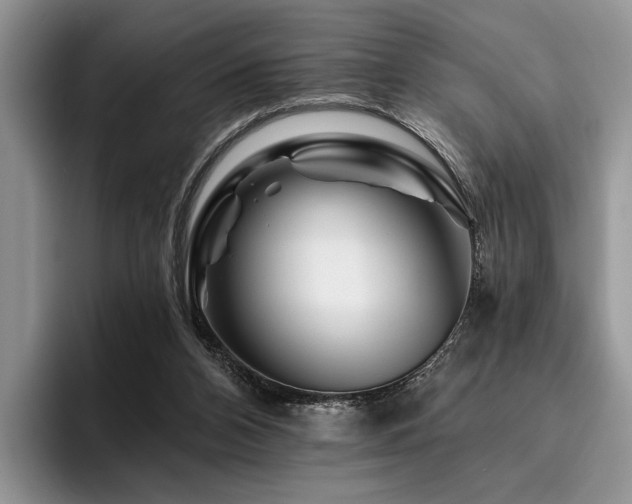 X0000096190112200801181329