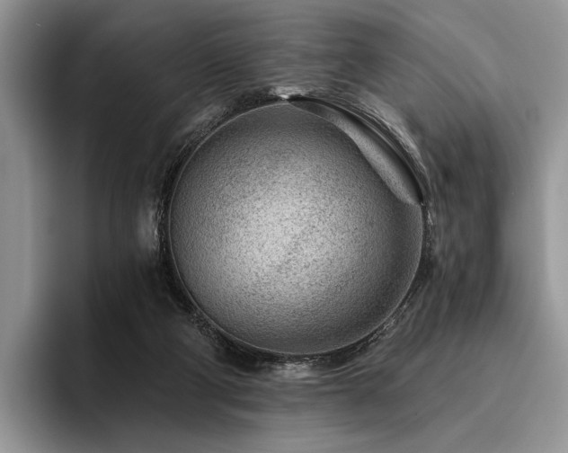 X0000096190114200801181329