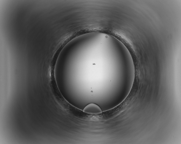 X0000096190115200801181329