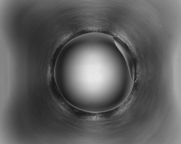 X0000096190116200801181329