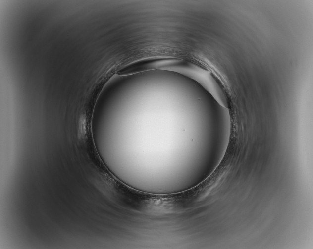 X0000096190117200801181329