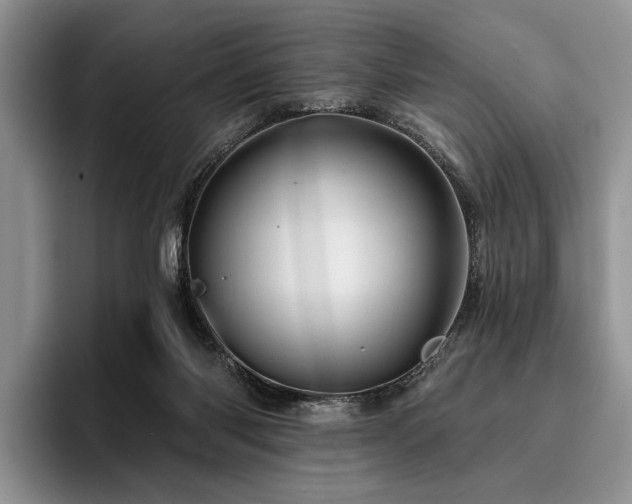 X0000096190118200801181329