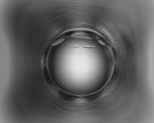 X0000096190119200801181329