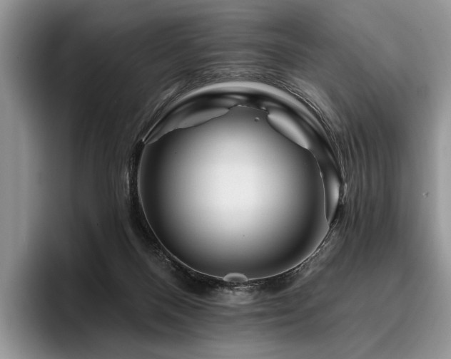 X0000096190120200801181329